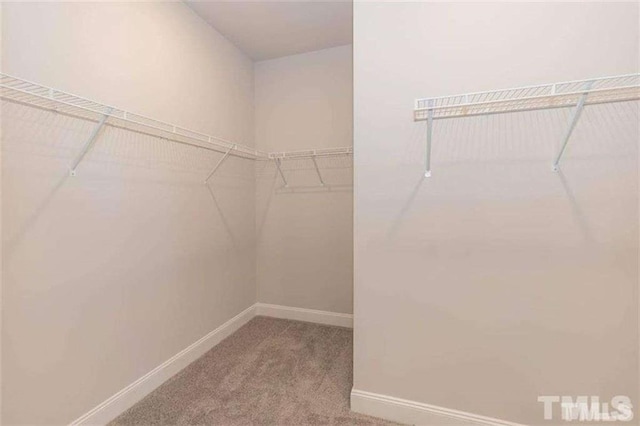 251 Eason St, Bowdon, GA 30108 - walk in closet with carpet floors