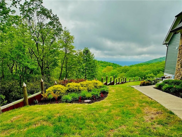 view of yard