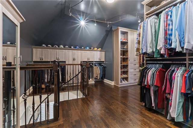 walk in closet with lofted ceiling and dark hardwood / wood-style floors