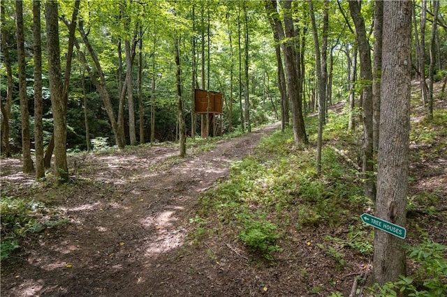 view of local wilderness