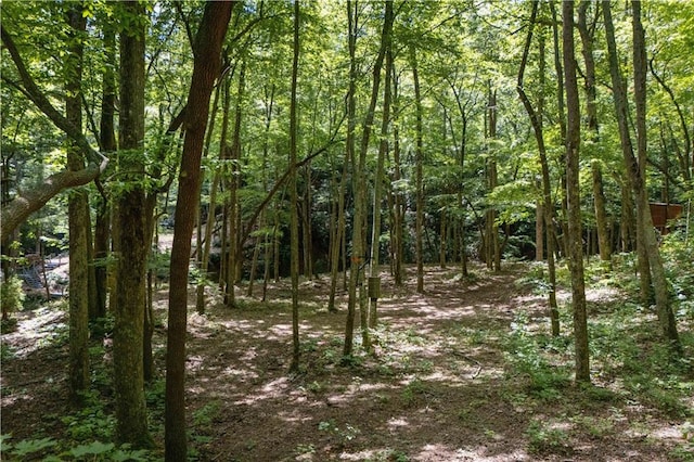 view of landscape