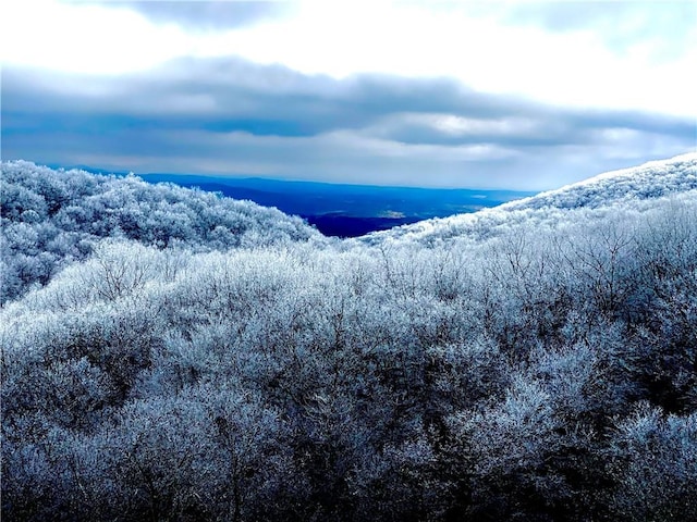 mountain view