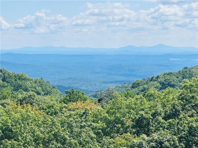 water view with a mountain view