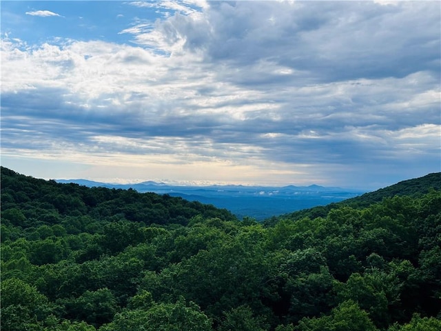 view of mountain feature