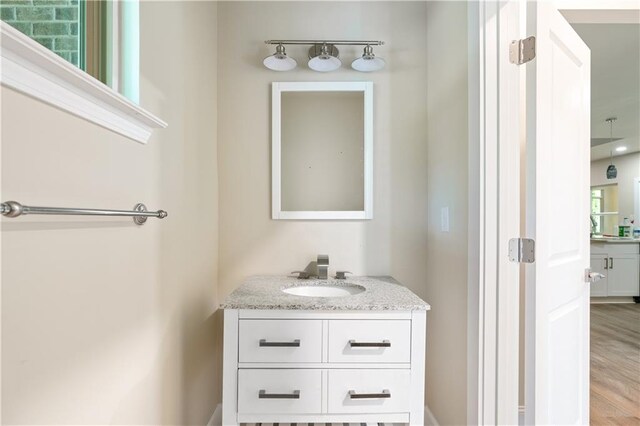 bathroom with vanity and wood-type flooring