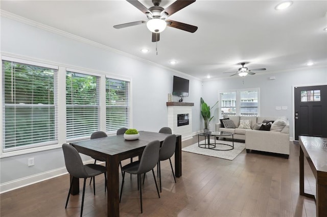 dining area featuring a ceiling fan, dark wood-style floors, a glass covered fireplace, and crown molding