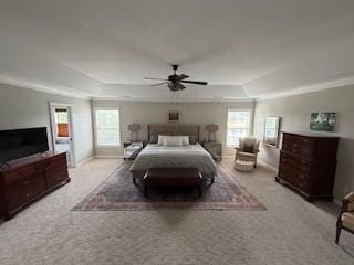 337 Long Shore Way, Newnan, GA 30265 - bedroom featuring a tray ceiling, carpet flooring, and ceiling fan