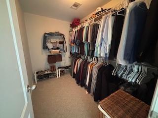 337 Long Shore Way, Newnan, GA 30265 - spacious closet featuring carpet flooring