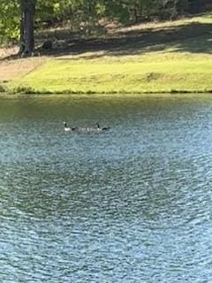 337 Long Shore Way, Newnan, GA 30265 - water view