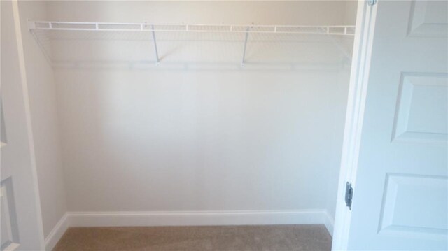 559 Fundao Ln Unit 21, Lawrenceville, GA 30046 - spacious closet with carpet floors