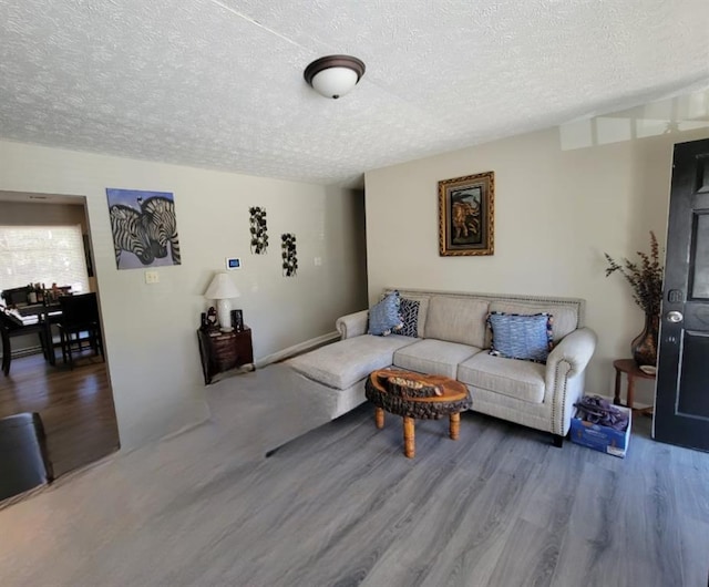 living room featuring hardwood / wood-style flooring and a textured ceiling