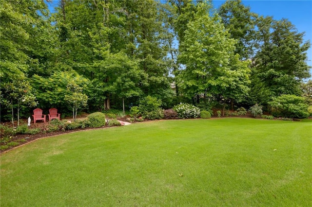 5365 Vendelay Ln, Cumming, GA 30040 - view of green lawn featuring view of wooded area