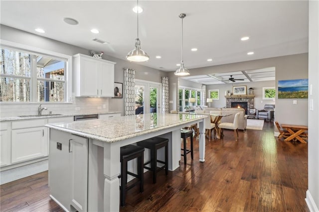 5365 Vendelay Ln, Cumming, GA 30040 - kitchen with a sink, a lit fireplace, a center island, white cabinets, and recessed lighting