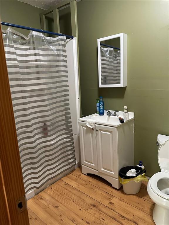 bathroom featuring toilet, wood finished floors, a shower with curtain, and vanity