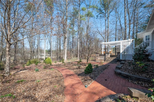 view of yard featuring a pergola