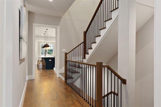 stairway with hardwood / wood-style flooring