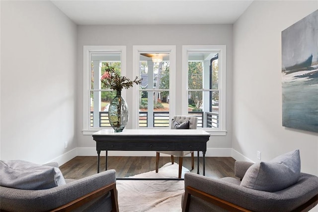 office with hardwood / wood-style floors and a healthy amount of sunlight