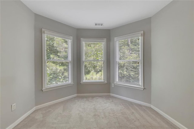 420 Gold Xing, Canton, GA 30114 - spare room featuring light carpet and healthy amount of natural light