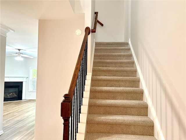 stairs with wood finished floors, a ceiling fan, and a glass covered fireplace