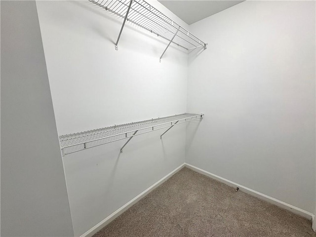 spacious closet with carpet floors