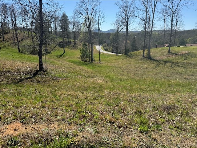 0 Lula, Blairsville GA, 30512 land for sale