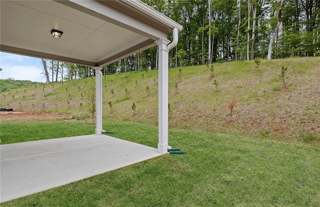 view of yard featuring a patio area