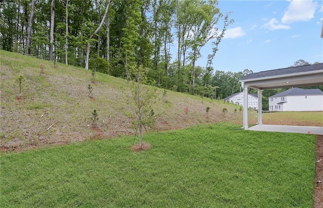 view of yard