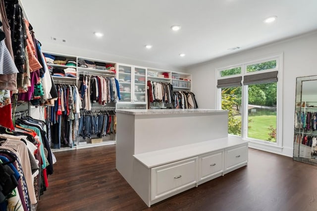 330 Longvue Ct, Johns Creek, GA 30097 - spacious closet with dark wood-style floors
