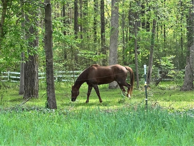 1819 Yorkshire Dr, Woodstock, GA 30189 - view of nature