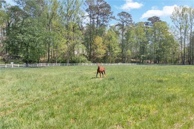 1819 Yorkshire Dr, Woodstock, GA 30189 - view of yard with a rural view and fence