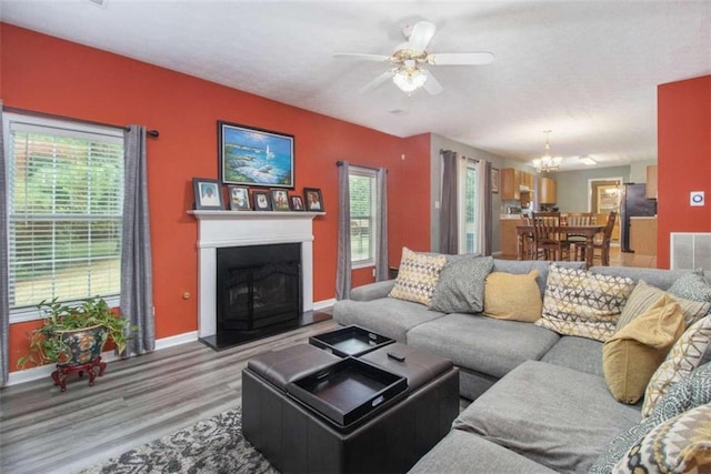 living room featuring ceiling fan with notable chandelier and light hardwood / wood-style flooring