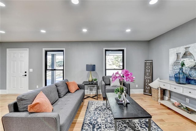 living room featuring light hardwood / wood-style floors