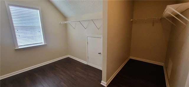 571 Cold Water Ln, Mcdonough, GA 30252 - spacious closet featuring dark wood finished floors and lofted ceiling