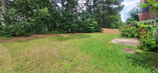 571 Cold Water Ln, Mcdonough, GA 30252 - view of yard