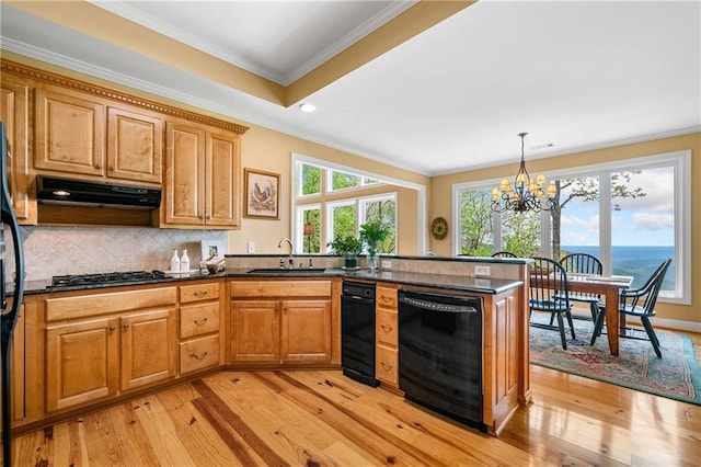 3756 Monument Rd, Jasper, GA 30143 - kitchen featuring black dishwasher, under cabinet range hood, a sink, light wood-style flooring, and crown molding