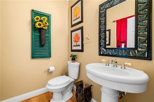 3756 Monument Rd, Jasper, GA 30143 - bathroom with baseboards, toilet, a sink, and wood finished floors