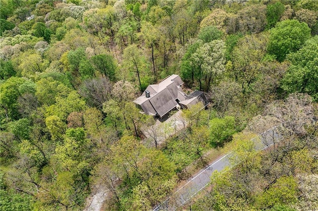 3756 Monument Rd, Jasper, GA 30143 - view from above of property with a heavily wooded area