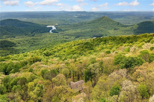 3756 Monument Rd, Jasper, GA 30143 - drone / aerial view of a forest and mountains