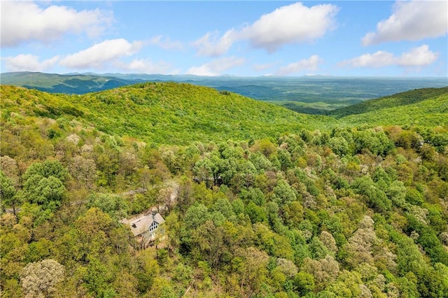 3756 Monument Rd, Jasper, GA 30143 - view of mountain background featuring a heavily wooded area