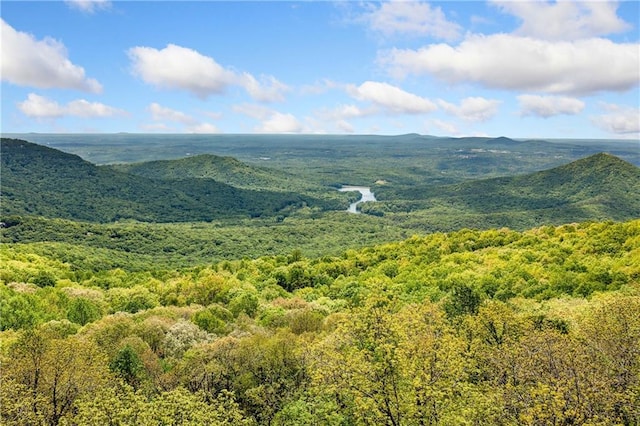 3756 Monument Rd, Jasper, GA 30143 - view of mountain background with a forest