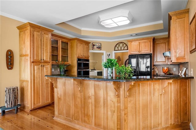 3756 Monument Rd, Jasper, GA 30143 - kitchen featuring black appliances, a tray ceiling, dark stone counters, a peninsula, and ornamental molding