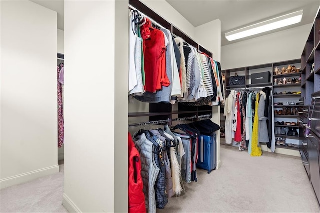 spacious closet featuring carpet flooring