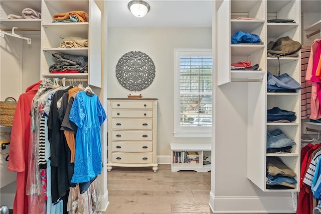 spacious closet with light wood-type flooring