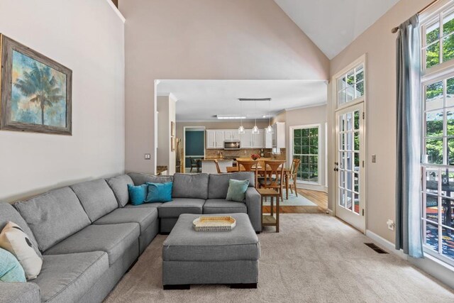 120 Ashewoode Downs Ln, Alpharetta, GA 30005 - living room featuring high vaulted ceiling and light carpet