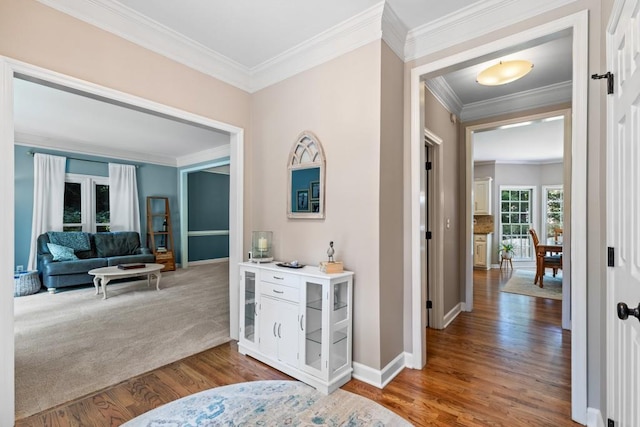 120 Ashewoode Downs Ln, Alpharetta, GA 30005 - corridor featuring wood finished floors and ornamental molding