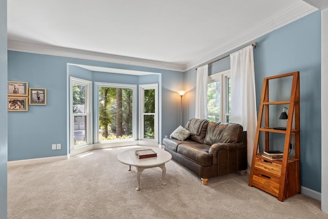 120 Ashewoode Downs Ln, Alpharetta, GA 30005 - living area featuring ornamental molding and carpet
