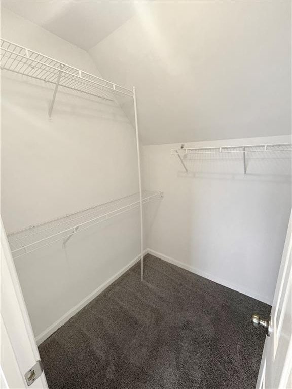 spacious closet featuring carpet floors and lofted ceiling