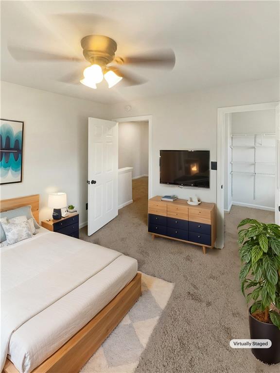 bedroom with carpet flooring, a spacious closet, ceiling fan, and a closet