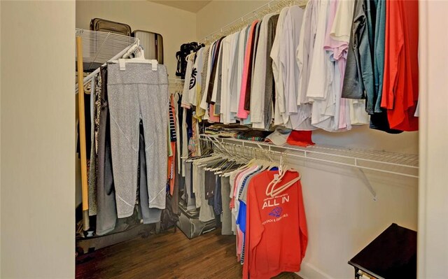 5638 Maple Bluff Way, Hoschton, GA 30548 - spacious closet with wood finished floors