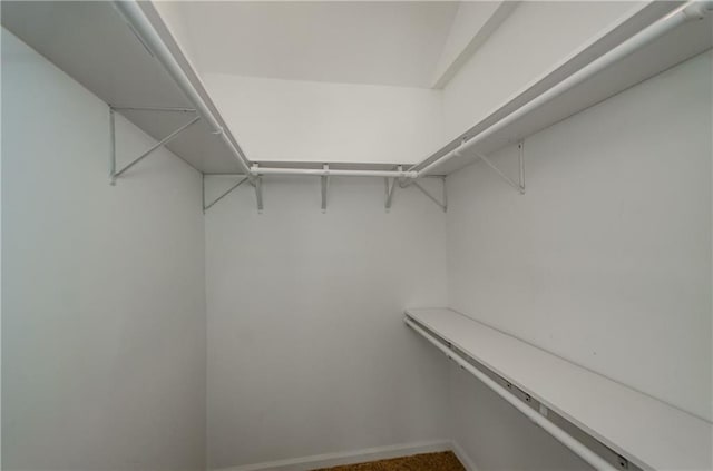 view of walk in closet